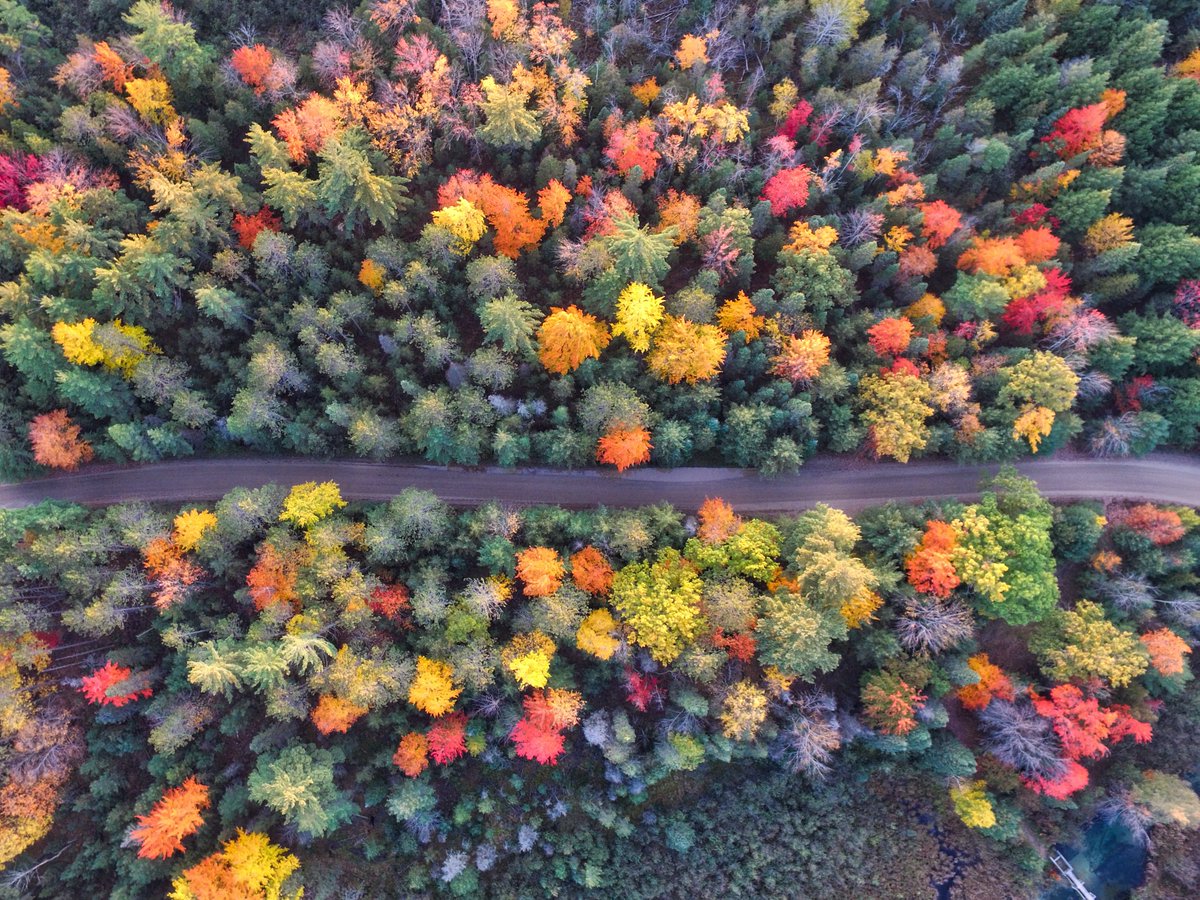 Driving through fall foliage Last on our list is a calm drive through beautiful fall leaves. As the season goes on, we'll be showing you some of the best places on The Weather Channel!