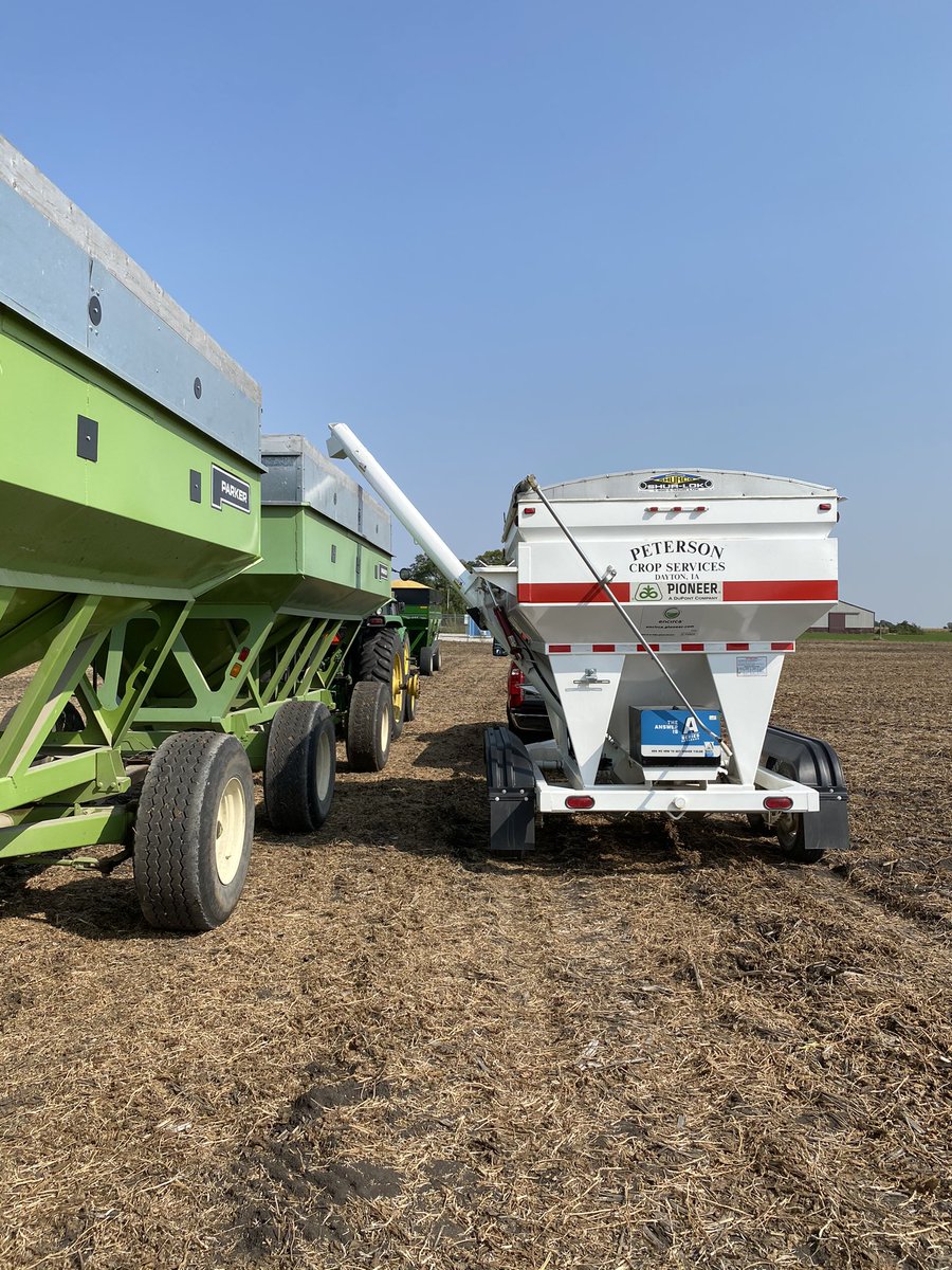 Mitch Peterson @petersoncrops X Profile | Muskviewer