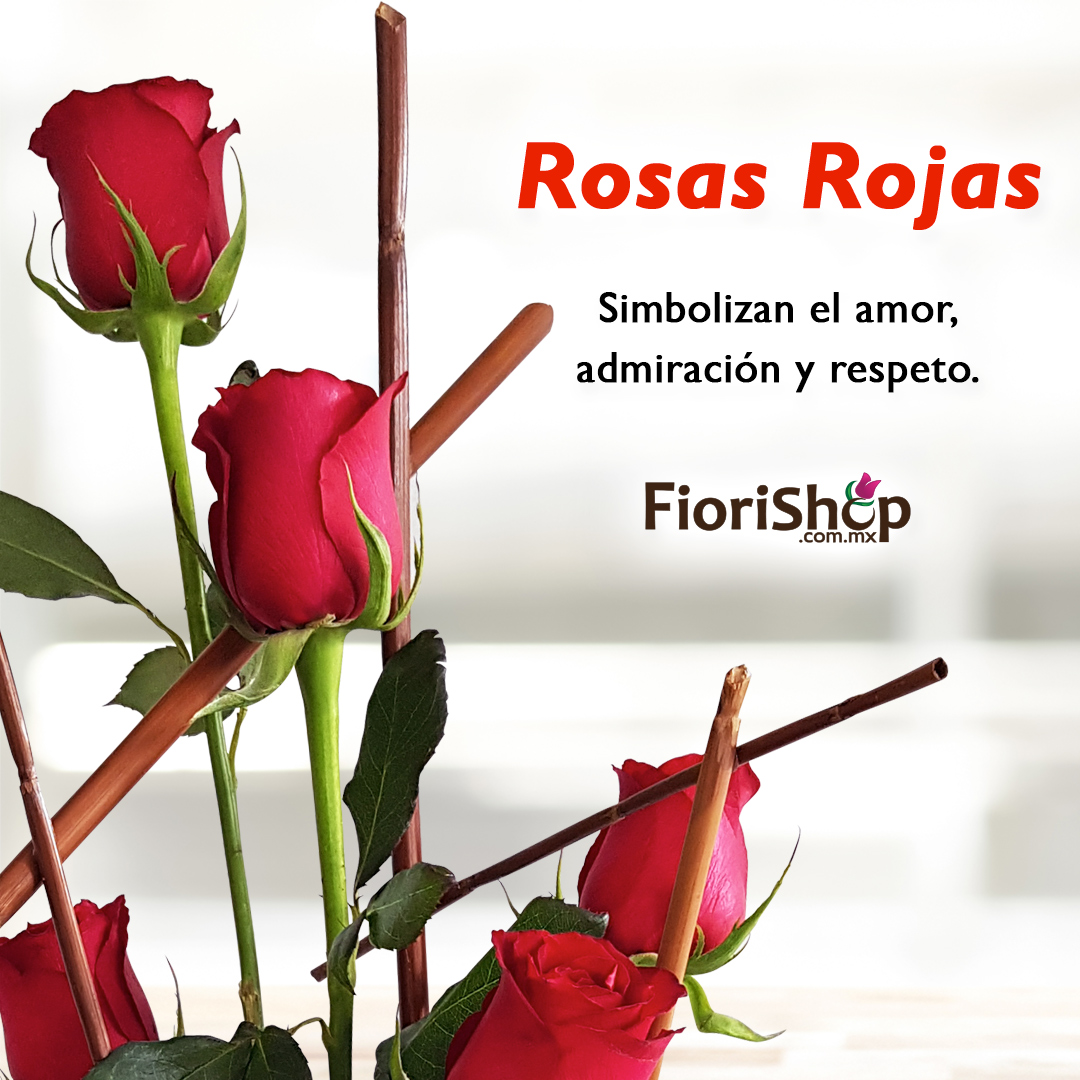 fiorishop's tweet photo. 🌹🌹🌹🌹🌹🌹🌹🌹🌹🌹🌹🌹
Las rosas rojas son el símbolo del amor por excelencia, pero también son una muestra de admiración y respeto, por lo tanto son el regalo ideal para cualquier ocasión.

Encuentra los mejores arreglos en
➡️ https://t.co/imcmwQy5NP https://t.co/XGZ2BYUyrS