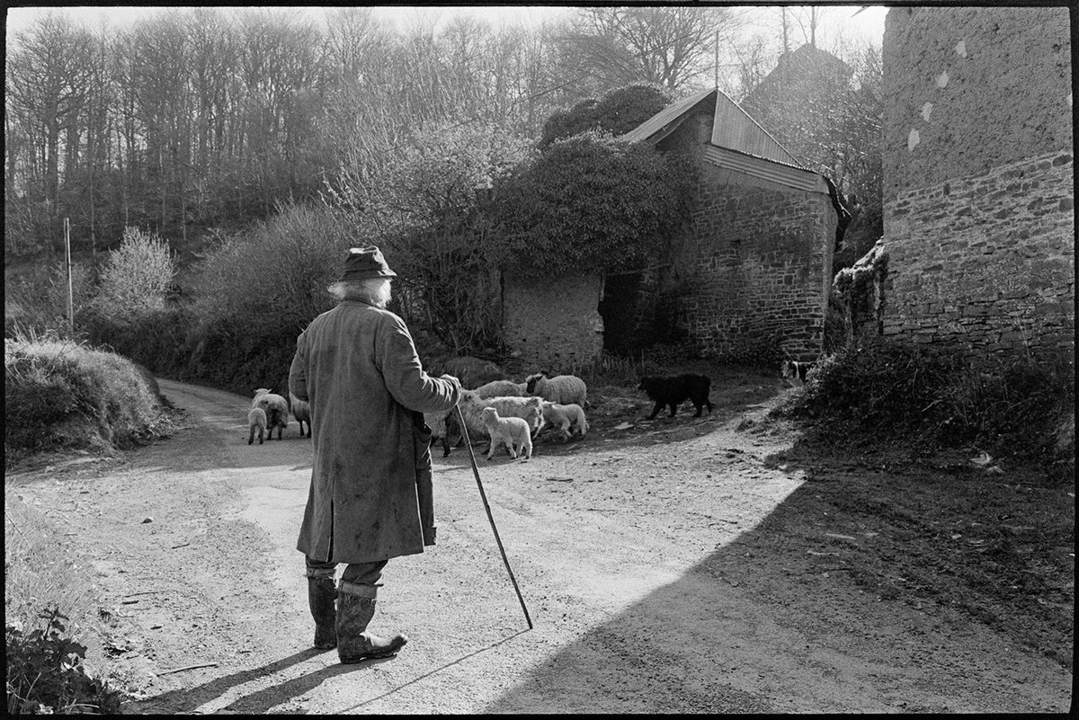  #BeyondRavilious: In my view James Ravilious captured people in their environment in the same way his father captured landscape. This Devon farmer in a rural lane with his sheep is a good example. More on James at  http://www.jamesravilious.com 