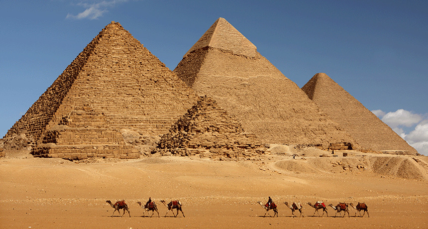 TradewindsCons1's tweet photo. Did you know the Great Pyramid of Gaza was the tallest structure in the world for over 3,800 years? 
#lasvegasconstructionindustry #commercialsubcontracting #commercialwoodframing #metalstudframing #commercialpainting #commercialwallframing #tenantimprovements https://t.co/8xDpspff9S