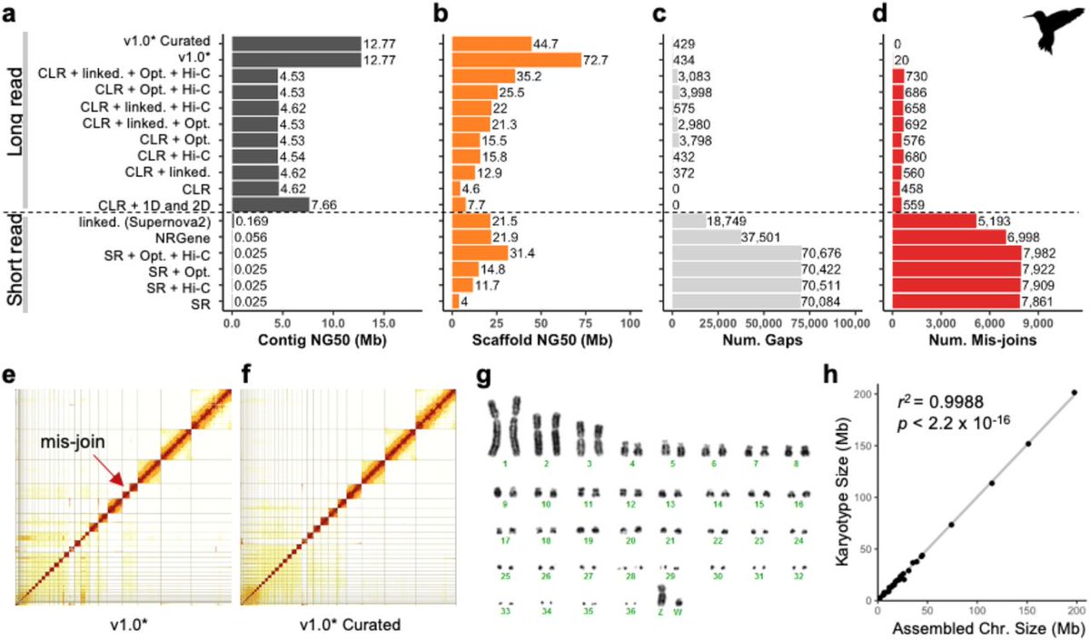Elin Videvall tweet media
