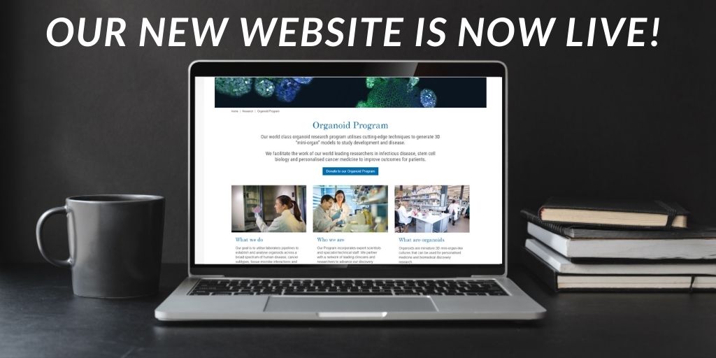 Monash BDI Organoid Program tweet media