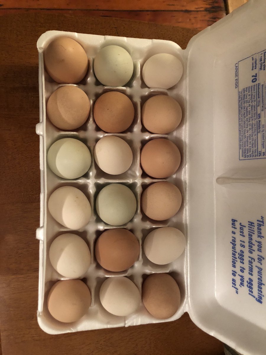 Making a quiche for tomorrow’s breakfast with the eggs from Robin Durila’s students! They’re almost too pretty to eat! 😍 <a href="/thstrinitypride/">Trinity High School</a> <a href="/TrinityAreaSD/">Trinity Area School District</a> <a href="/TRINITY_MLUCAS/">Dr. Michael Lucas</a>