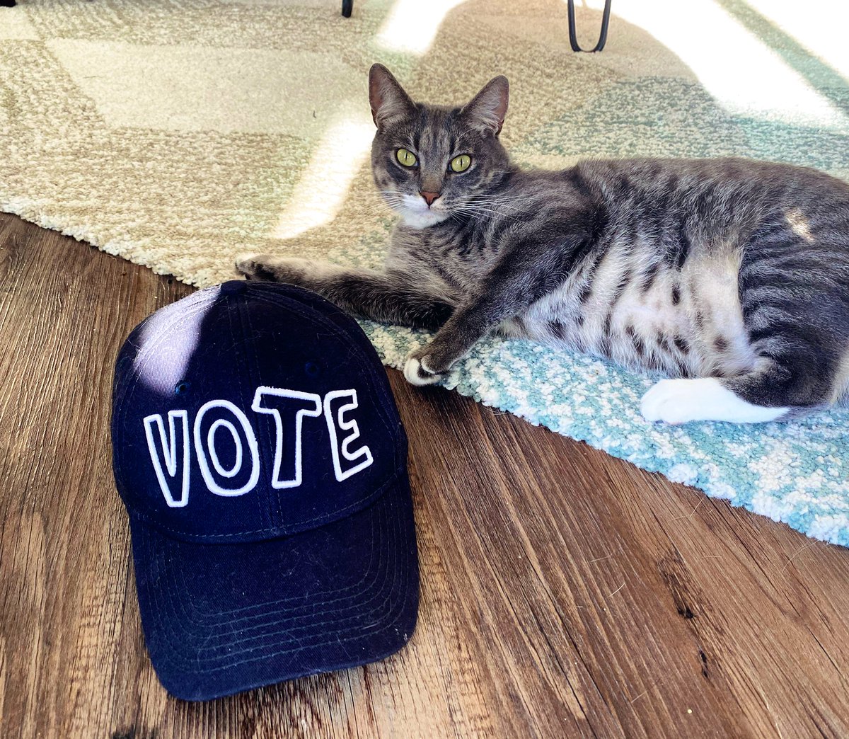 maccracken's tweet photo. Things to start doing right meow:
1οΈβ£ Check your voter registration
2οΈβ£ Make your voter plan
3οΈβ£ Do your voter plan
Democracy is on the ballot. Vote early. Vote once. Vote.
#NVRD2020 #nvrd https://t.co/rn6OUG5WGw