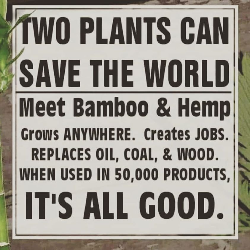 #naturalbamboo #hemp #savenature🌎 #createjobs #betteralternative
