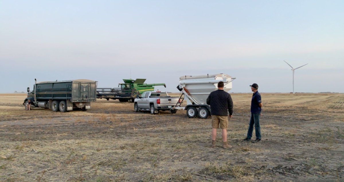 Lynn_VanD's tweet image. Happy to report invigorresults.ca is now live! With more data sites being updated daily, be sure to check back often.  We could not have done it without our cooperators (&amp;amp; @haroldbrownagro) #InVigor #BASF #mbag