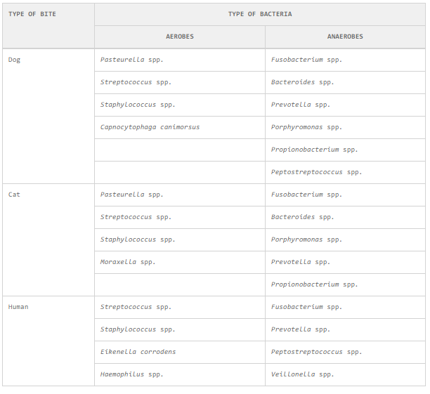 Jake Johnson tweet media