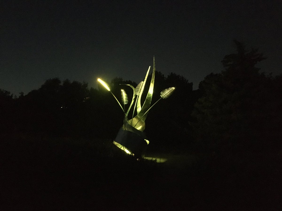 All lit up! Plan a visit to see Ryan Longo’s one-of-a-kind sculpture light up the sunflowers and night sky at Lakeview Village. Using the latest tech and high-quality LEDs, it’s as sustainable as it is stunning.