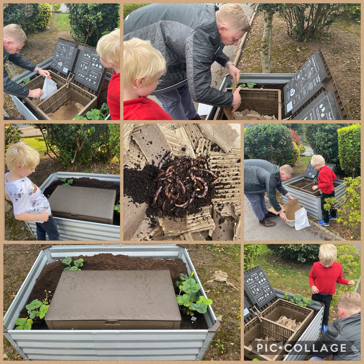 leeannelewis79's tweet photo. Next lockdown project...

Worm farm. Composter #recycle #compost #worms 
@thesubpod 
Neirin loved seeing the worms and we are going to learn how to feed them!

Finished off by reading Superworm before bed. #teachthroughplay https://t.co/tNHAcj61FA