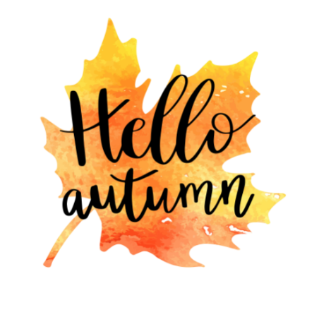 js_cod's tweet photo. It’s fall y’all 😁🍂 Join us in welcoming in a new season! 
Lunch &amp; Dinner Specials ➡️ https://t.co/Cs1Le8akNk
-
#MA #MAEats #PjsFamily #PjsFamilyRestaurant #SeafoodMA #MASeafood #Wellfleet #WellfleetEats https://t.co/YvTFHwdhIG