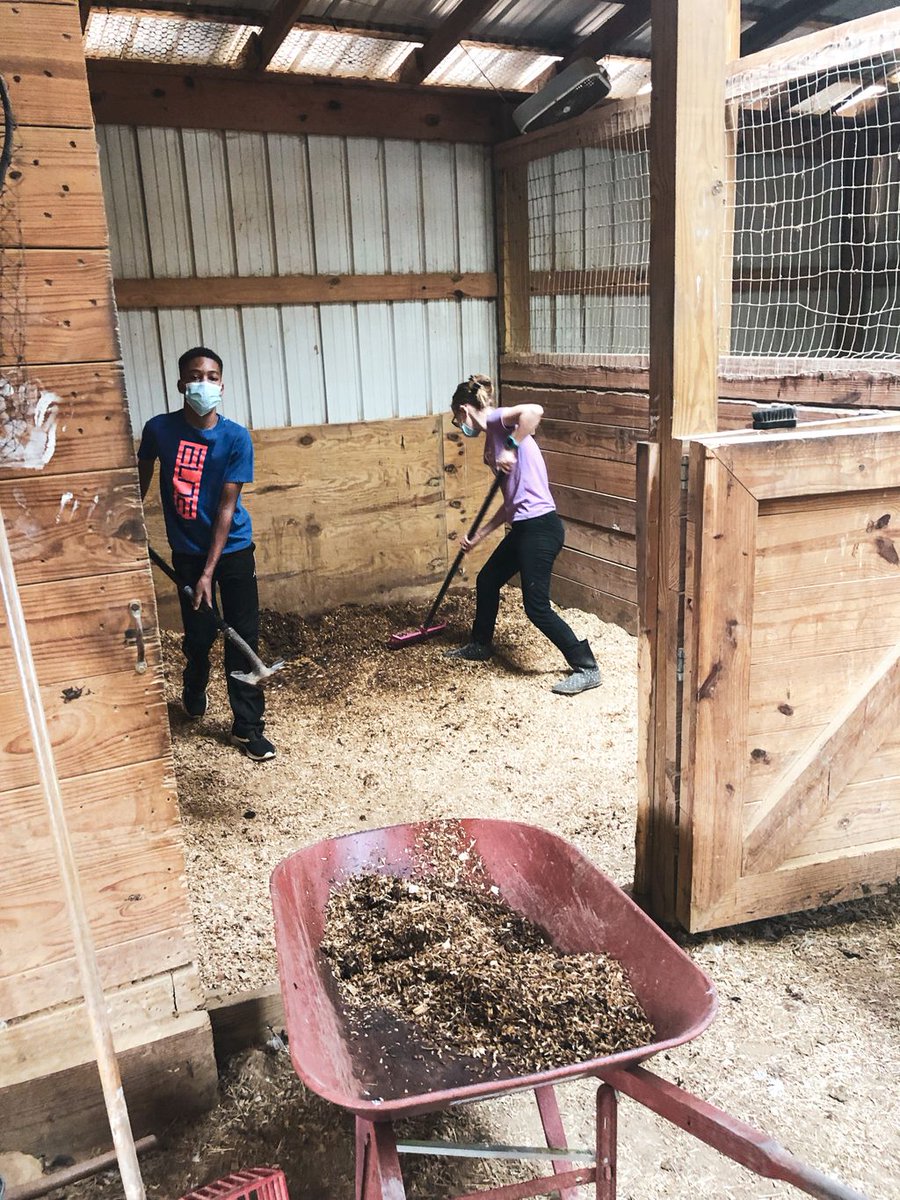 Today’s officially the 1st day of Fall! To prep for all the winter changes, our Animal Welfare Coordinator Amber led the charge to clean up the tack room while other team members mucked out stalls to keep our animals happy &amp; clean. It was definitely an us together thing! #maskup