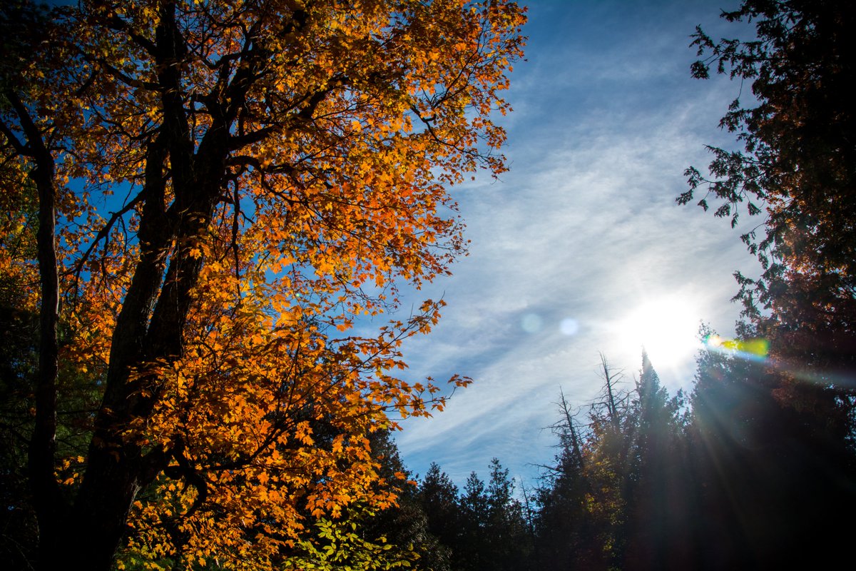 Happy first day of Autumn! The weather’s nice and the leaves are changing, but it won’t last long! Book a room or a suite with us with a lakefront view and come check out what <a href="/FrontenacCounty/">Frontenac County</a> has to offer this fall. sharbotlakeinn.com/rooms.php