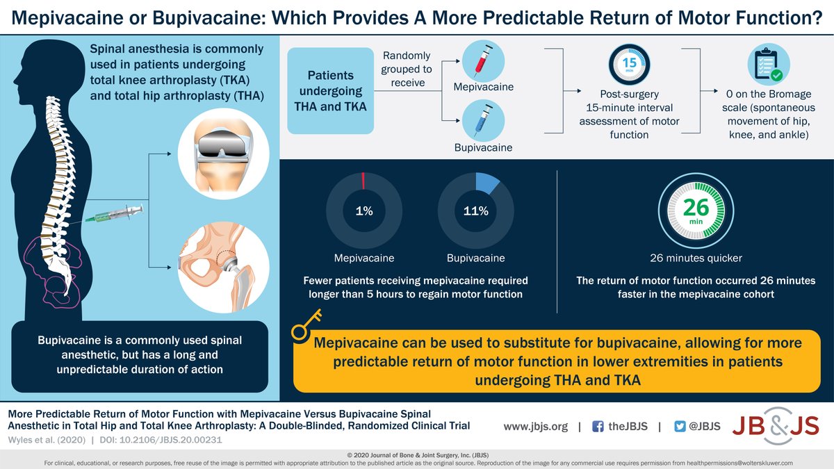 J Bone & Joint Surg (@jbjs) on Twitter photo A new paper in <a href="/jbjs/">J Bone & Joint Surg</a> compares #bupivacaine and #mepivacaine in the quest to discover the perfect #spinal #anesthetic for physicians performing joint #arthroplasty: ow.ly/vFMJ50BwwdK
#Arthroplasty #JointArthroplasty #Anesthesia #SpinalAnesthesia #JBJS A new paper in <a href="/jbjs/">J Bone & Joint Surg</a> compares #bupivacaine and #mepivacaine in the quest to discover the perfect #spinal #anesthetic for physicians performing joint #arthroplasty: ow.ly/vFMJ50BwwdK
#Arthroplasty #JointArthroplasty #Anesthesia #SpinalAnesthesia #JBJS