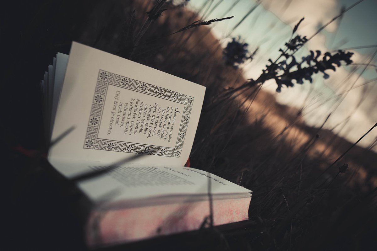 TODAY is the day! Our 6-week, intensive memoir writing Boot Camp begins at 4pm PDT. We hope to see you there, and if not, all our sessions are recorded. 😊

Register today:
magicofmemoir.com/register

#Writing #Memoir #BootCamp #NAMW #Fall #Learning #Program