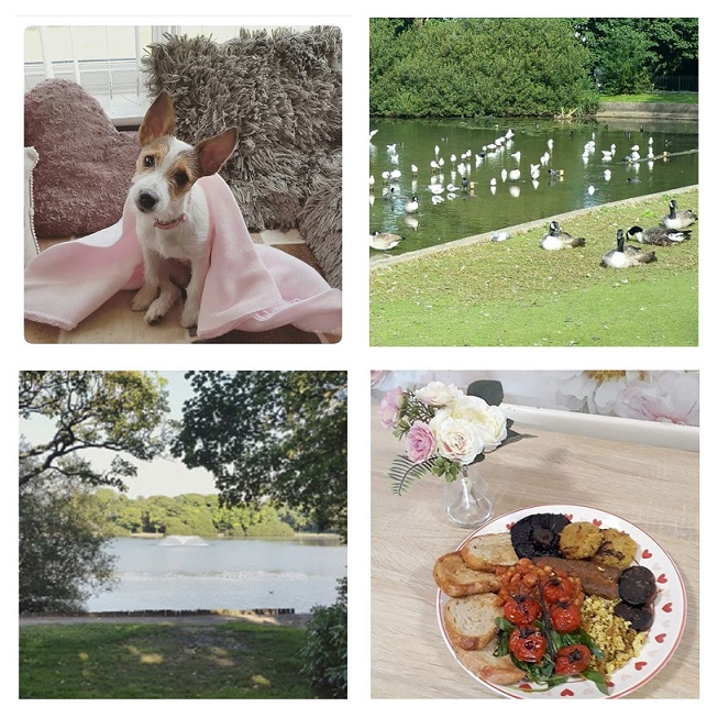 AlishaValerie's tweet photo. ⭐MY PERFECT SUNDAY⭐
https://t.co/4vlNe9hYvJ
@allthoseblogs @ukbloggers1 @lovingblogs #influencerrt #littleblogrt #theclqrt #thegirlgang #livbloggers #fiercebloggers #lbloggers #beechat #teacupclub #cfbloggers #veganbloggers https://t.co/FLv9CdZd20