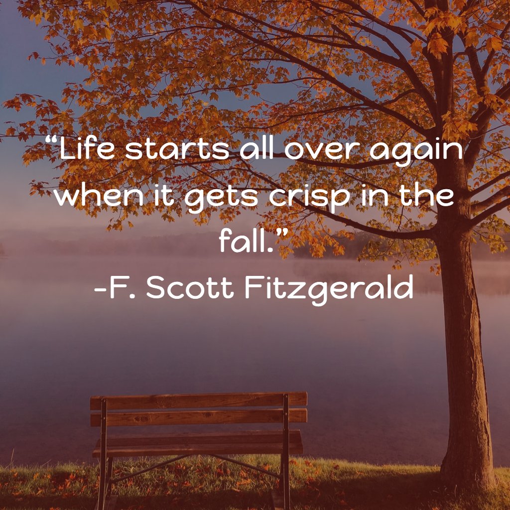 author_dorothea's tweet photo. #FirstDayofFall #autumn #writingcommunity #TuesdayThoughts #amwriting https://t.co/gbTnsjIFAi