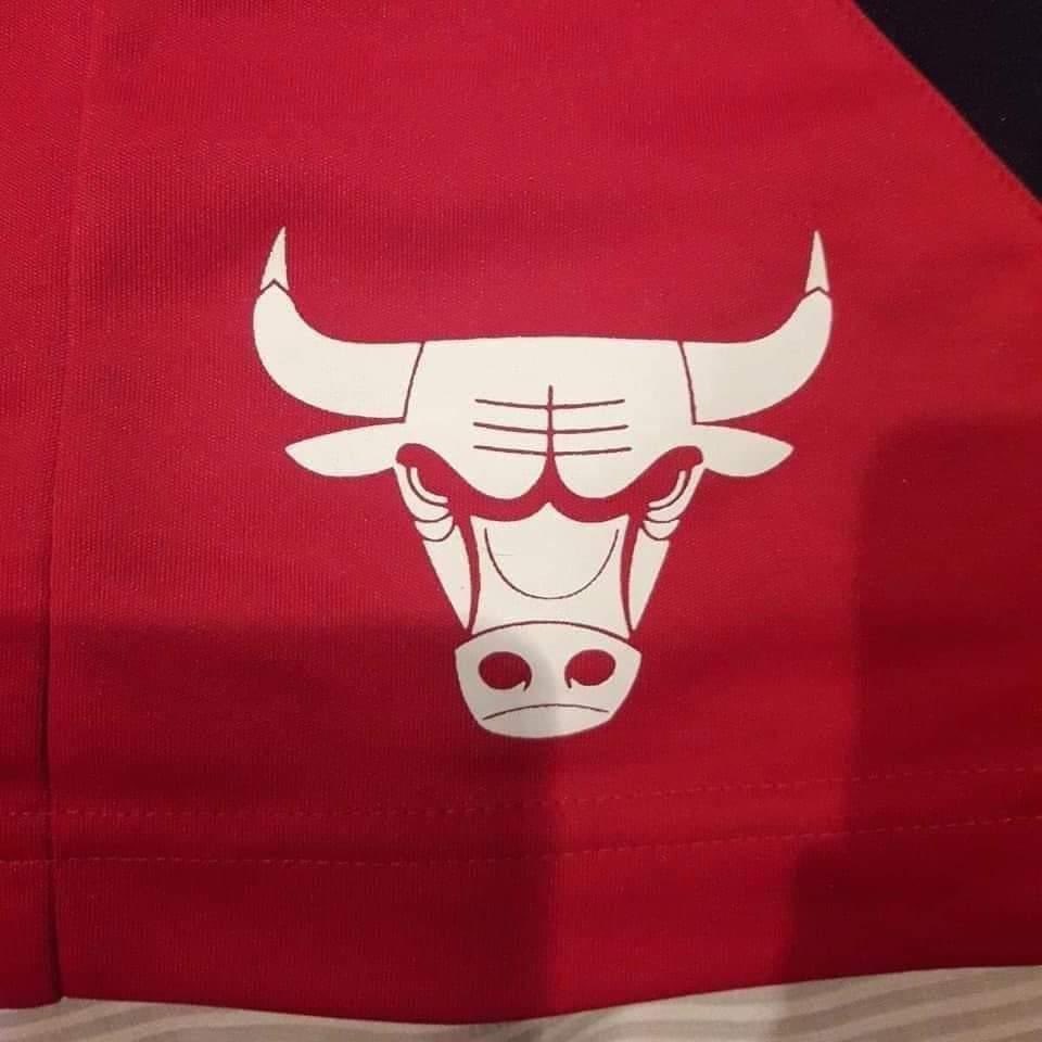 The Bulls logo being a robot reading a book when it's flipped upside down appears to be going viral again.THREAD: Some more hidden logo images...