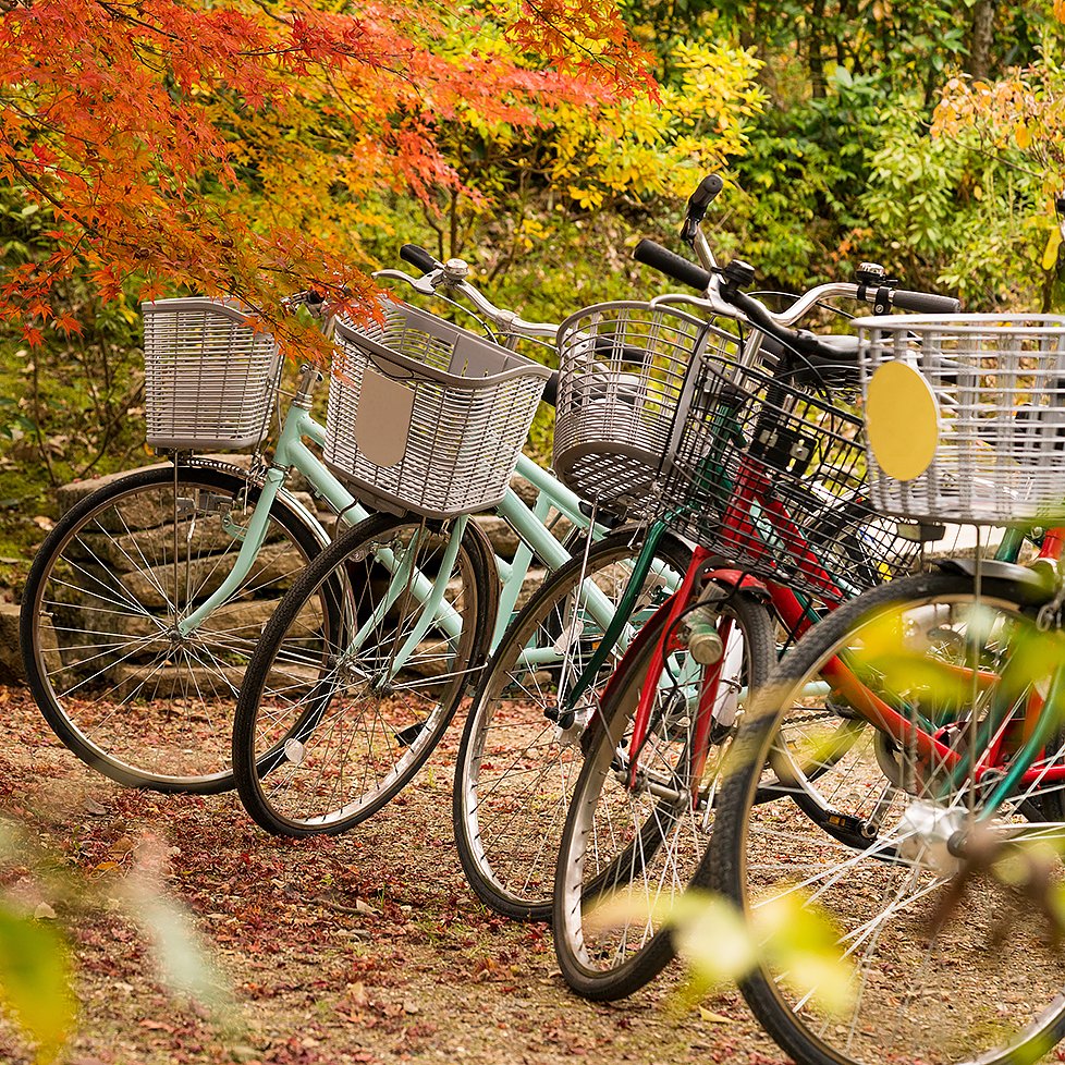 It is officially the first day of 🍂 fall 🍂 in Kennebunkport!  We can't wait to grab a bicycle 🚲 and ride around town and see these beautiful colors.  🍁