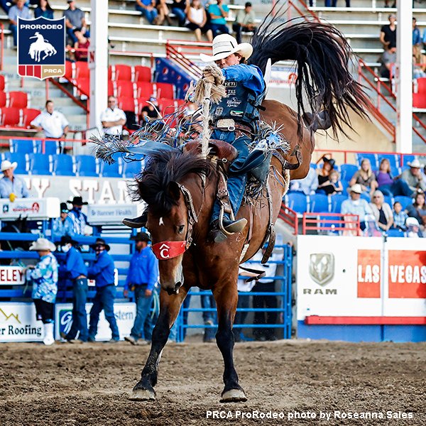 𝙒𝙖𝙩𝙘𝙝 𝙩𝙤𝙣𝙞𝙜𝙝𝙩!
• • •
The 2020 Gold Buckle Beer ProRodeo Tour Finale is at 9:30 p.m. (ET), Sept. 22-26 in Rapid City. S.D. It will be broadcast on The Cowboy Channel and Cowboy Channel Plus app.
See preview story: bit.ly/3kzY5je 
• • •
#WeAreProRodeo