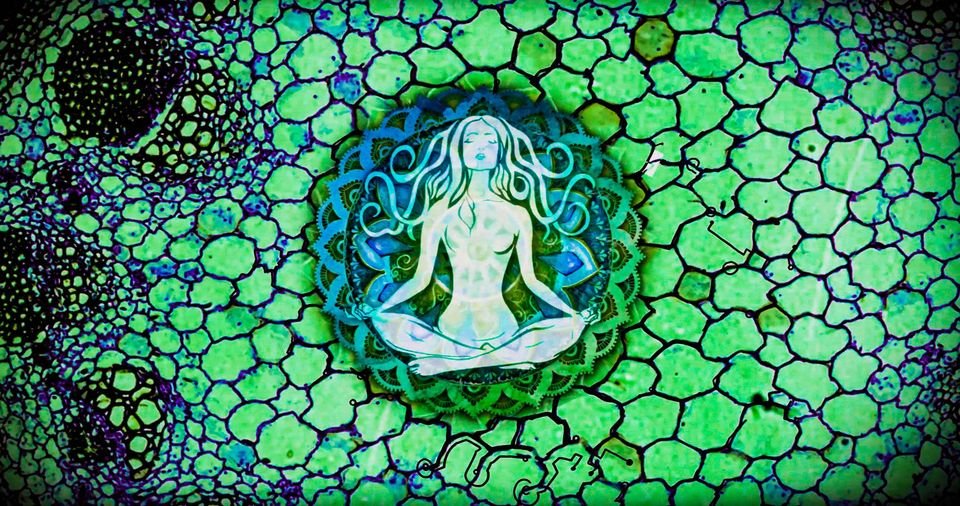 CBDNationfilm's tweet image. Did you know that CBD is great for women's health? Cannabis extracts may be an efficacious &amp;amp; safe alternative for treatment of a wide range of conditions in women including cramps, dysuria, hyperemesis gravidarum &amp;amp; assisting with menopausal symptoms, to name a few! #cbdnation