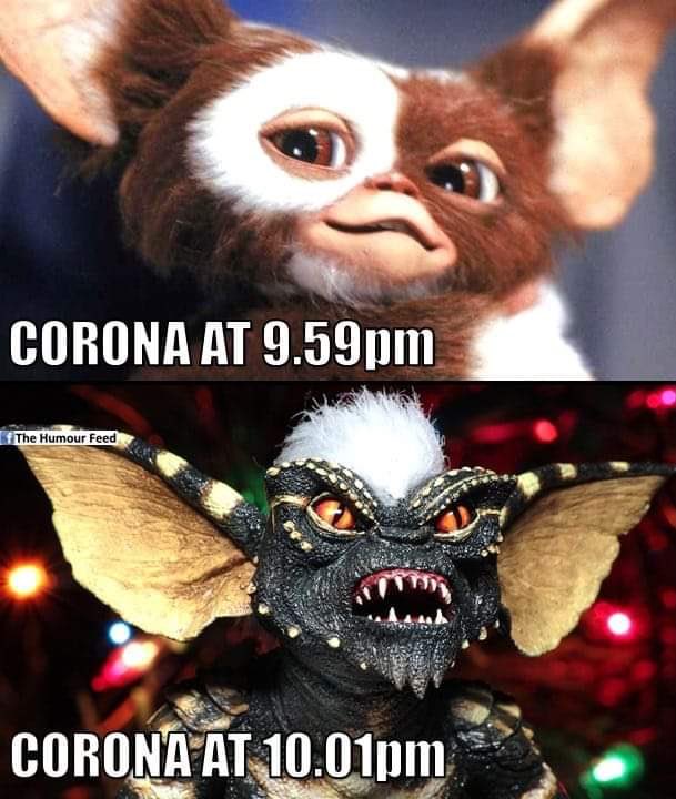 Graeme Kelly tweet media