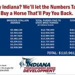 Photo by Indiana Thoroughbred Development Program (@INThoroughbred)