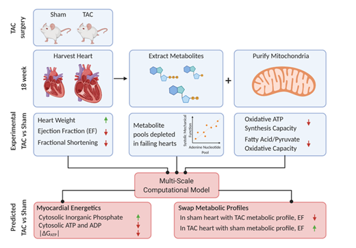 Dan Michele tweet media