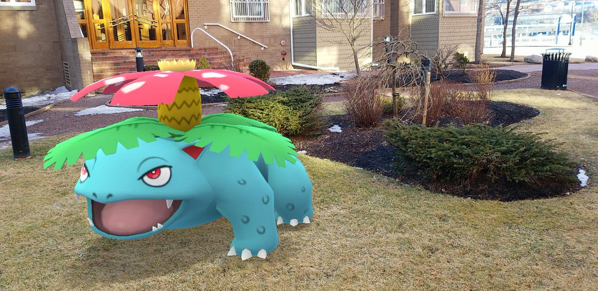 The natural scenery outside appears bleak, perhaps a little too so for a  #Venusaur to be featured amongst it, but Sprout was happy to pose with my Venusaur-EX Pokémon TCG card back at the homestead.  #PokemonGO  #GOSnapshot  #PokemonGOARplus  #PokemonGOBuddy