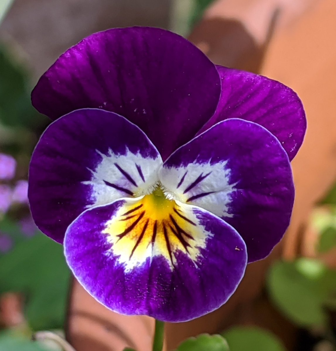Britnatureguide's tweet photo. Nature is truly amazing. #ourworldisworthsaving https://t.co/SpB0CRiuqk