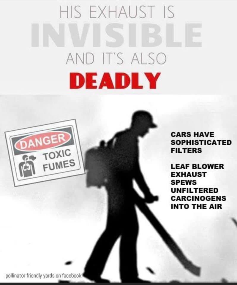 MontgrainL's tweet image. The annual emissions from one leaf blower are estimated to be the same as 80 automobiles being driven 12,500 miles. #LeafBlowerBan #GlobalWarming @CharetteB⁩ ⁦@JonathanWNV⁩