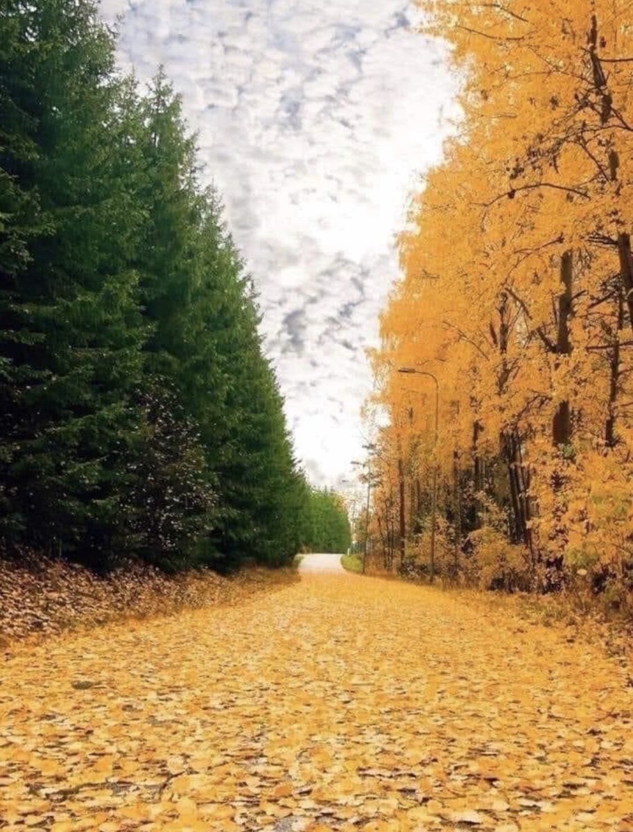 Happy 1st Day Of Fall!!

"Peace is not something you wish for; It's something you make, something you do, something you are, and something you give away." ~John Lennon 
Today is International Peace Day.  May you all be blessed with ☮️ &amp; ❤️ 

#internationalpeaceday #worldpeaceday