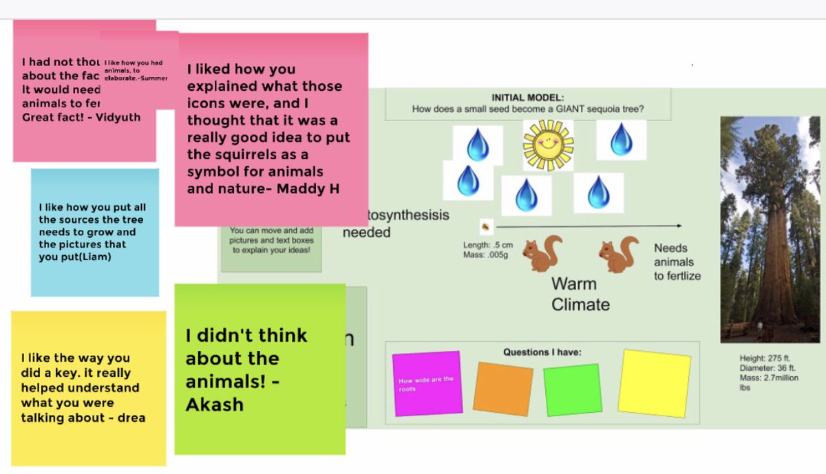 Four Squares Graphic Organizer by ScienceBox