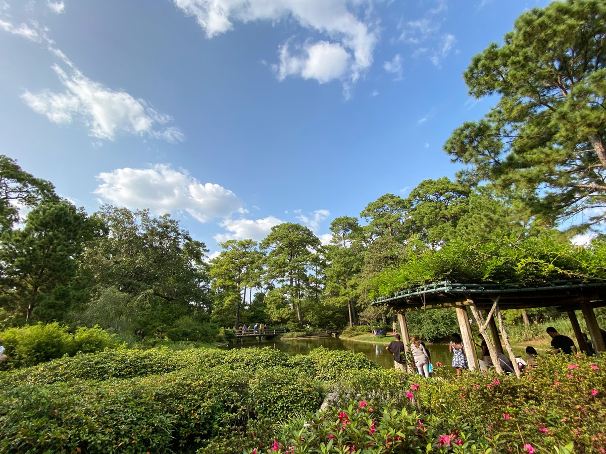 Alanna Yee tweet media