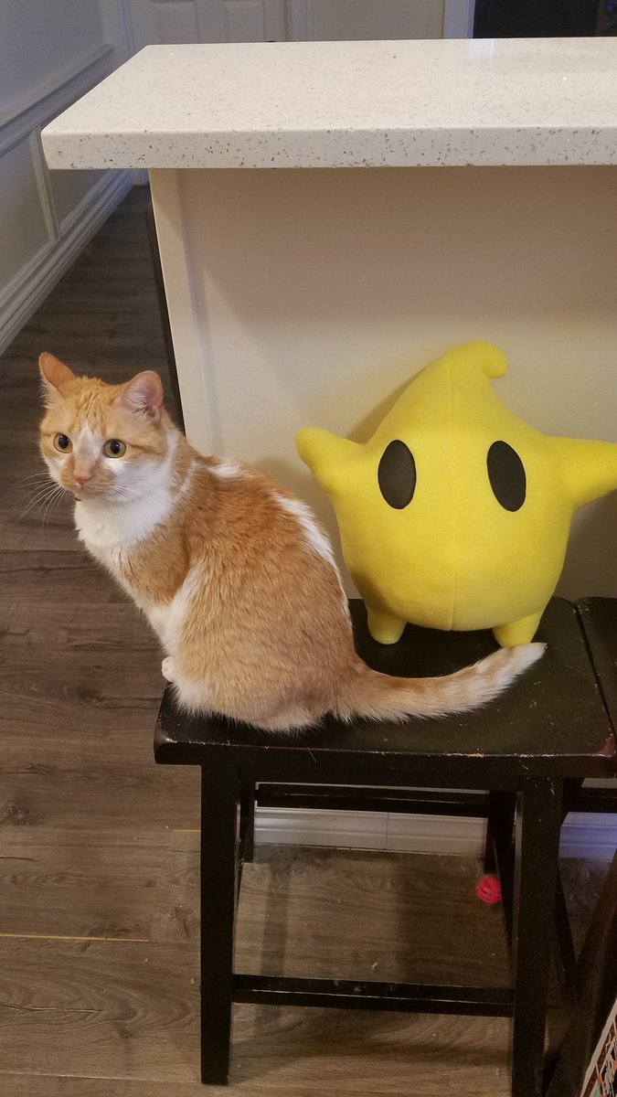 UmbreVT's tweet photo. We're ready for @FlareonLad's stream tonight starting with Super Mario Galaxy! Come join us at 7pm EST! https://t.co/0RjQaO5Gte @StreamerNetwork @TwitchSharing @TwitchTVGaming @TwitchReTweets @Twitch @rtsmallstreams https://t.co/jyLUzS6PDK