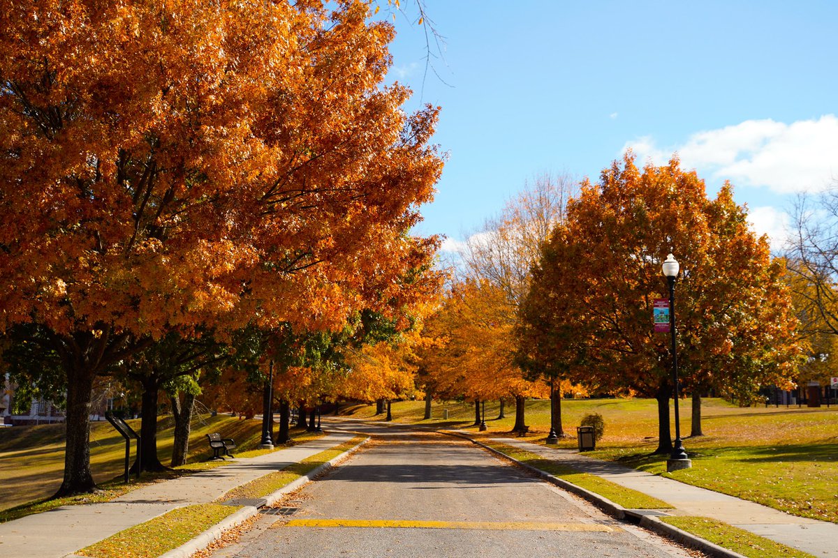 Happy #FirstDayOfFall TU Golden Tigers! #TuskegeeUniversity #TU