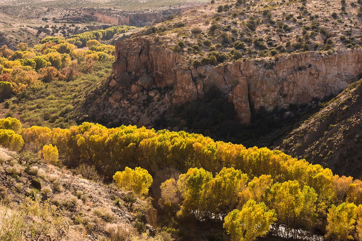 BLMNewMexico's tweet image. 🍂Some beautiful fall colors from New Mexico's Gila Box Wilderness Study Area. #FirstDayofFall