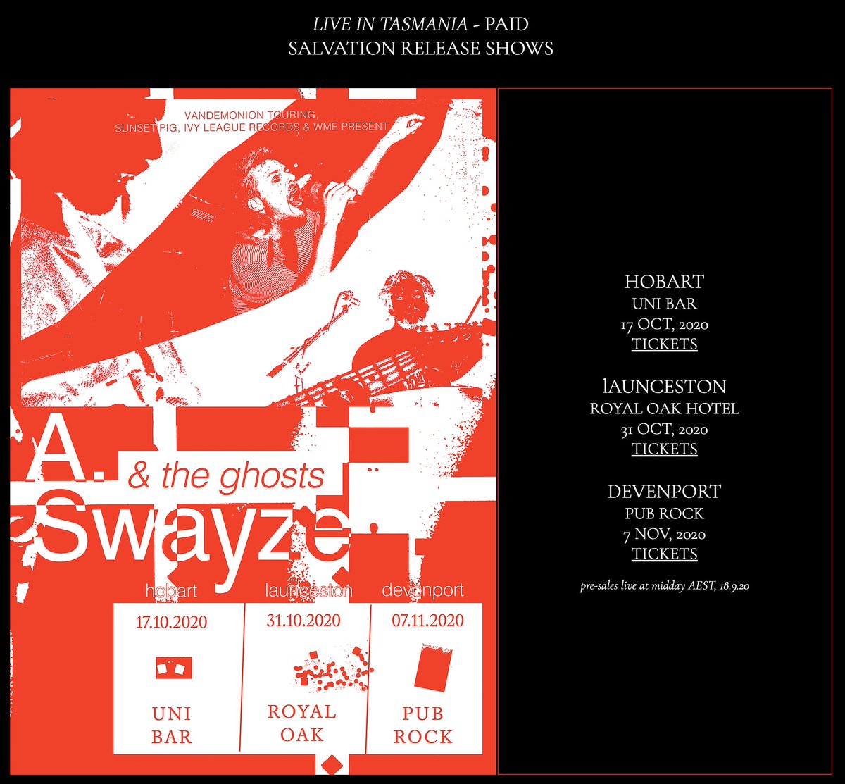 Sunset Pig tweet media