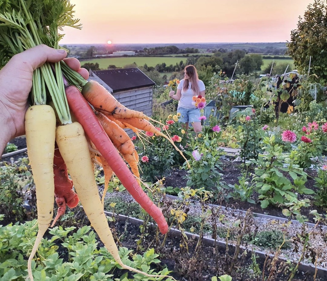 When your carrots match the sunset! 😍 🥕
-
Beautiful photo from @ukallotmenteers
https://t.co/LP5t9g9b8Z https://t.co/6Uq6D79U8v