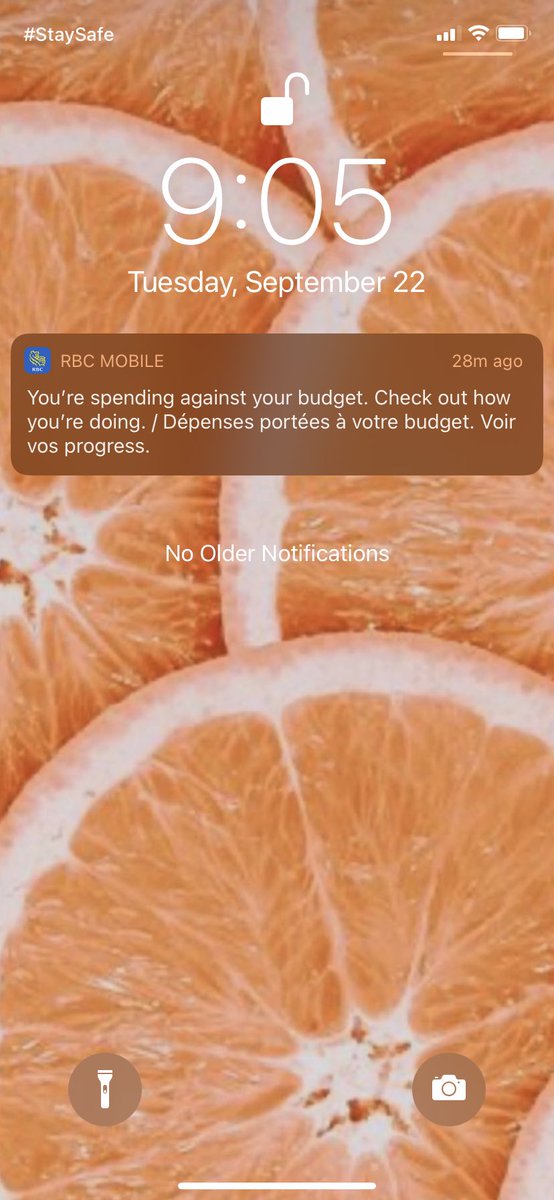 I literally have never set any budgets on RBC app but they can still sense I’m spending well above my limits 🥴