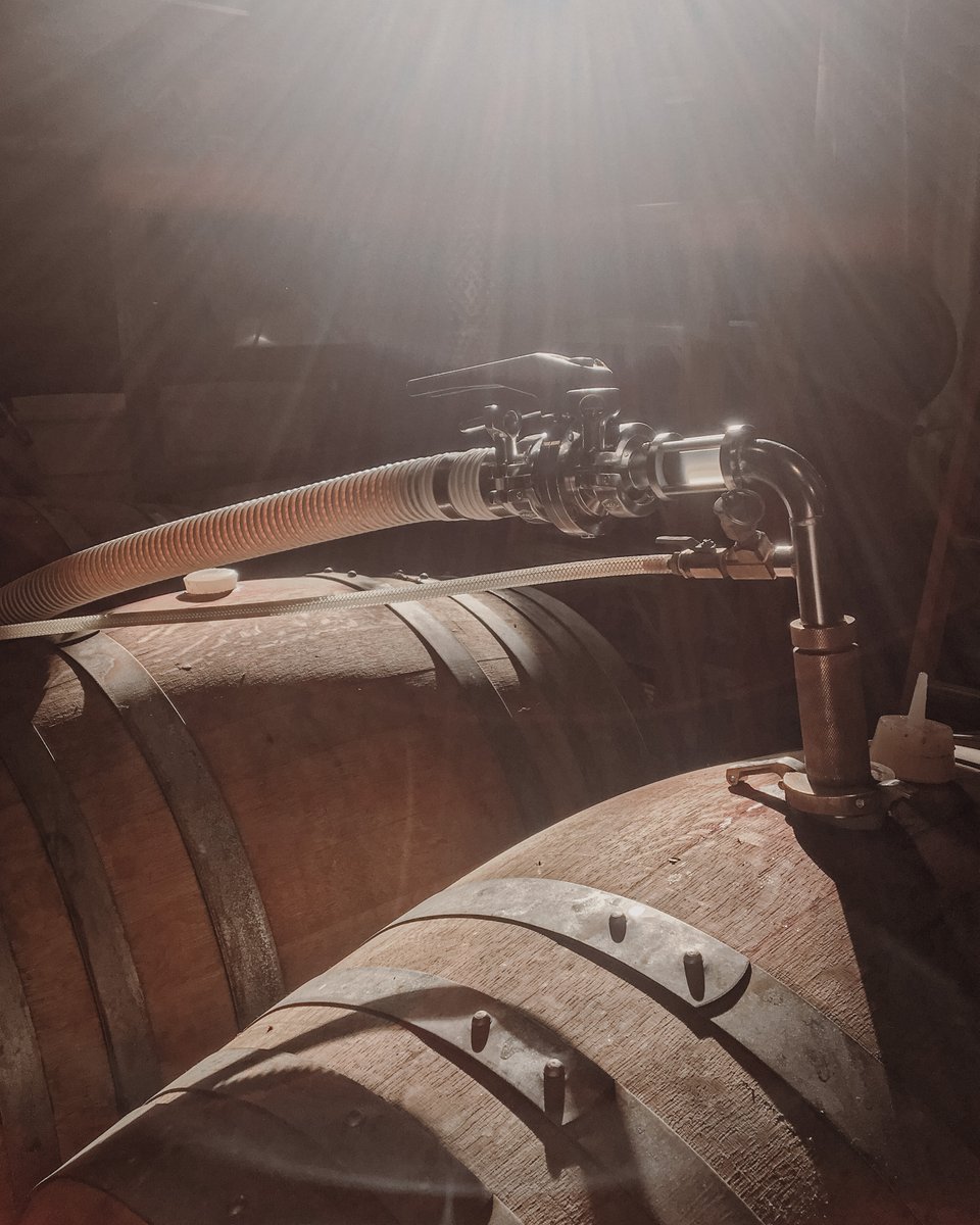 Ransom Wine&Spirits tweet media