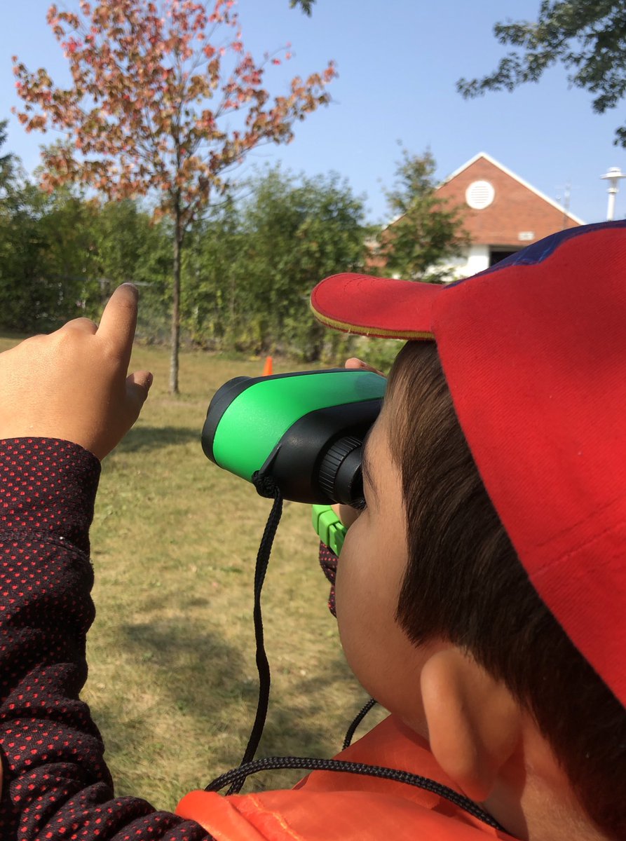 KylaMacDonald4's tweet photo. Happy #firstdayoffall2020 π Today we searched for signs of fall and noticed that some of the leaves are changing colour @sttimothy3 https://t.co/PA7kyxK2eL