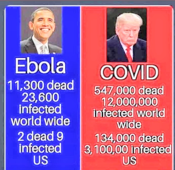 ALSixers506's tweet photo. 200,000 Americans DEAD by 
#DONALDDEATH ☠️💀
#CONSERVATERDS💩 want to END #OBAMACARES ""PRE-EXISTING CONDITIONS"" by ((NOV 11, 2020)) #SUPREMECOURT vote date..
#CROOKEDtrump  #CROOKEDGOP  #REPUBLICANSSUCK
#BLUETSUNAMI2020  #VOTEBLUE2020
#BIDENHARRIS2020🌊🇺🇸✊🏿👍🏾🤘🏻 &amp; ALL #DEMS2020 https://t.co/cdhC8ulqd4