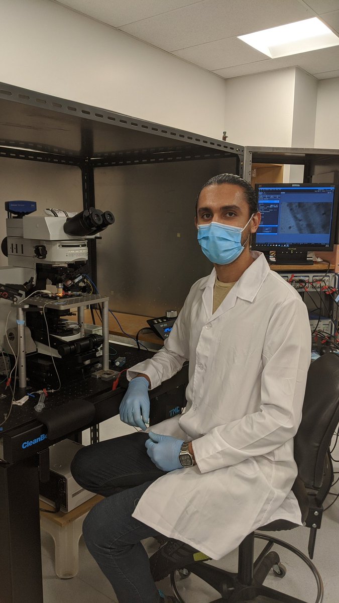 Lynn Raymond Lab tweet media