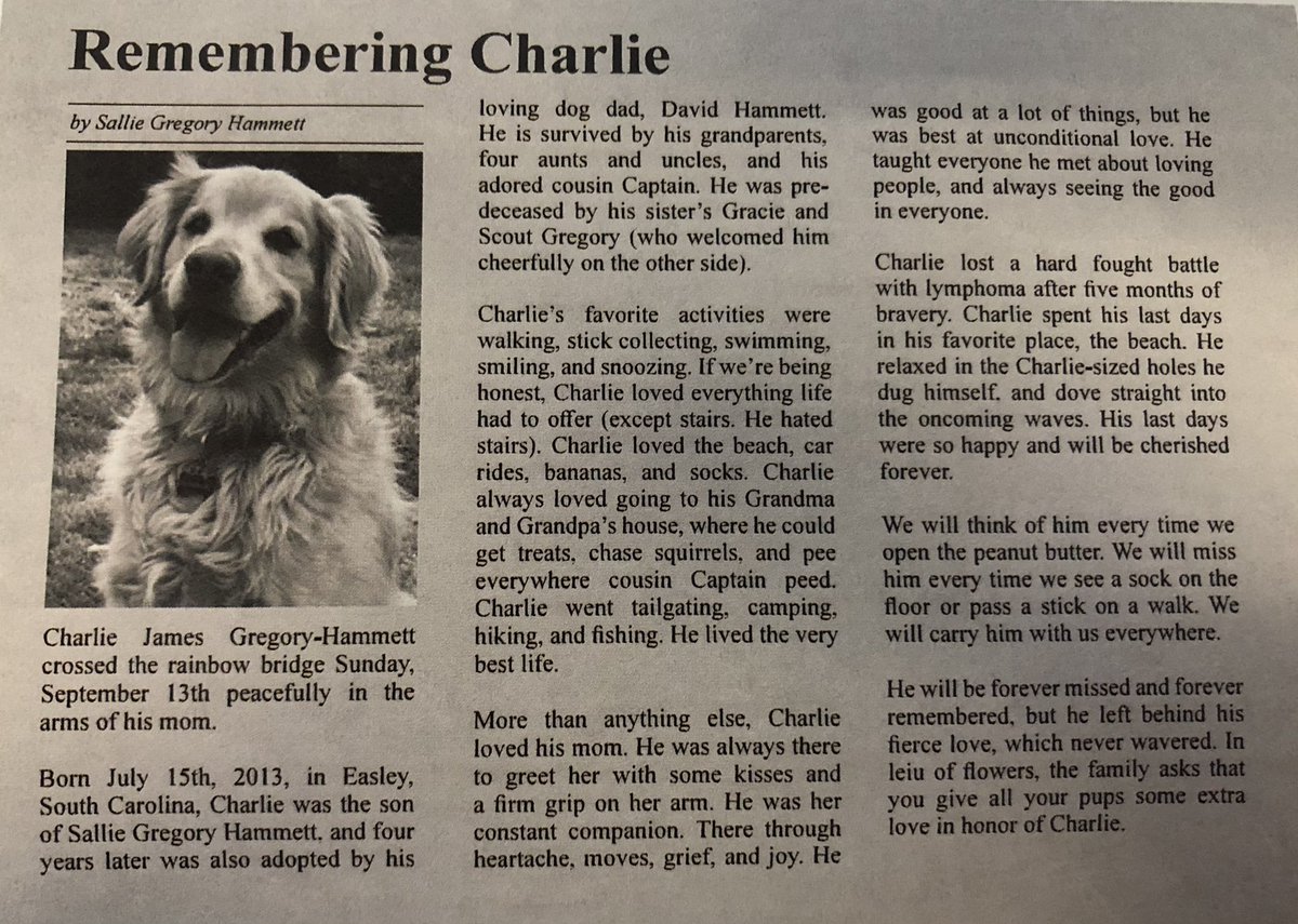 SallieGHammett's tweet image. I wrote my dog an obituary because of course I did. He was the best boy.