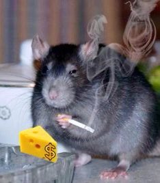 DailyStewPicks's tweet image. 