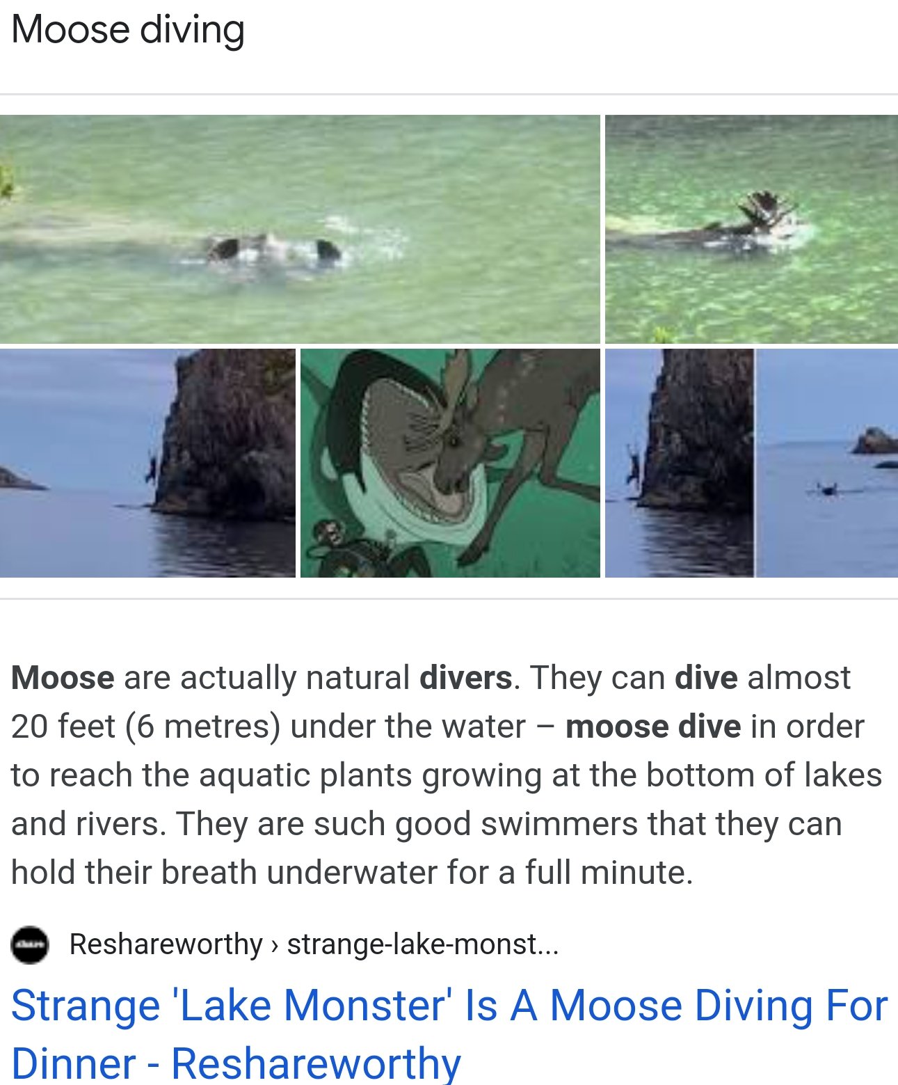 Marisa Is Having Nightmares On Twitter Moose Can Dive I Don T Like This Fact Imagine A Moose Emerging From The Depths To Bite Off Your Toes Https T Co Xjugxhsq24 Twitter
