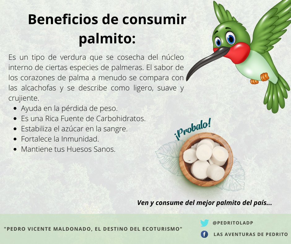 PedritoLADP's tweet photo. Hola amiguitos, hoy estoy muy feliz y quiero compartirles una información muy útil. Espero les ayude y no olviden que este producto lo pueden encontrar en diferentes platos de nuestro querido #PedroVicenteMaldonado. https://t.co/9H4vbu7EZz