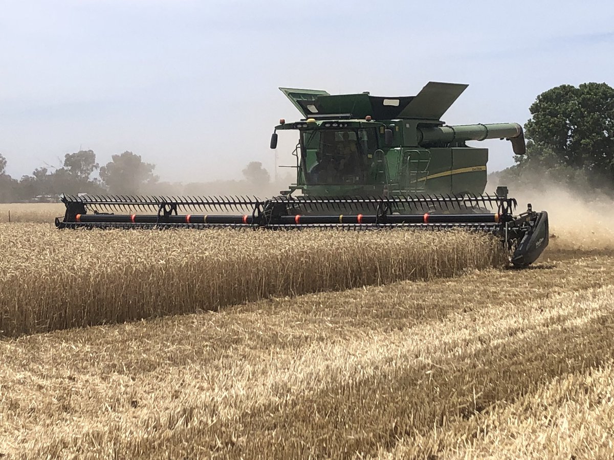 Andrew Godde tweet media