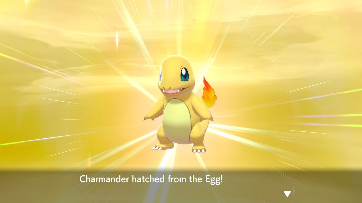 Fainebrayne's tweet photo. finally  #PokemonSwordShield #NintendoSwitch https://t.co/PnyYwQnG3D
